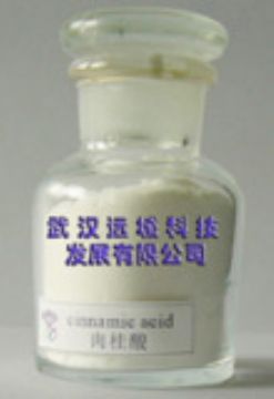 Rimonabant Carboxylic Acid